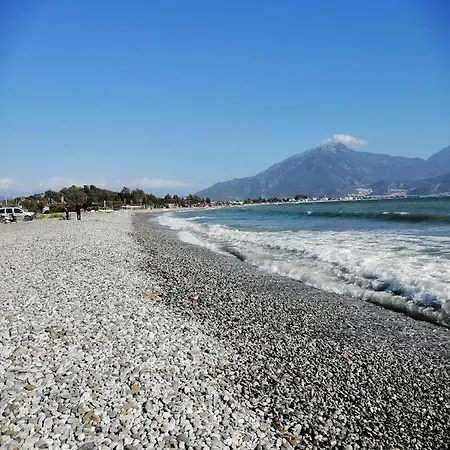 #yaz Διαμέρισμα